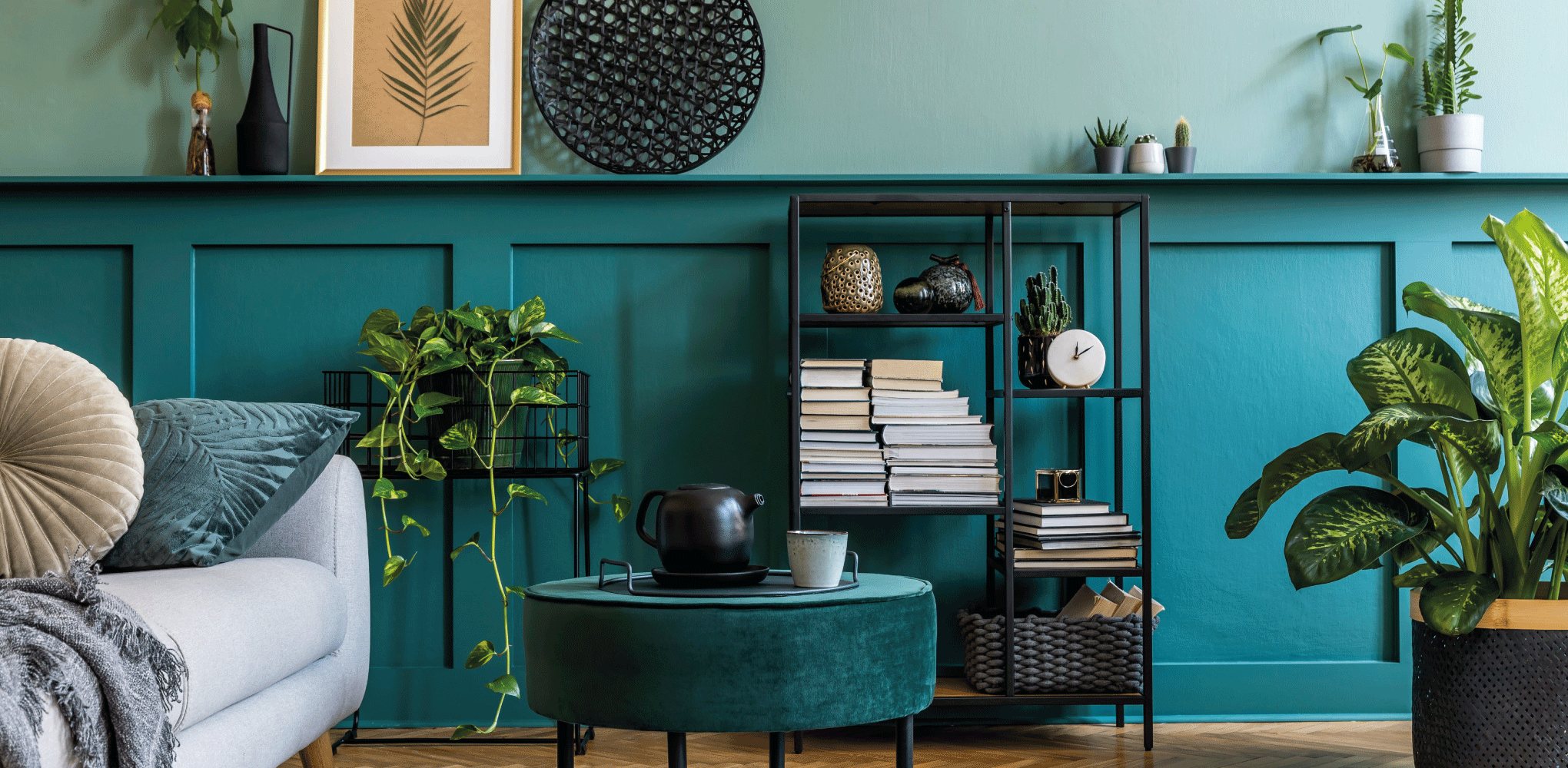 7 idées de plantes d’intérieur pour habiller mon meuble